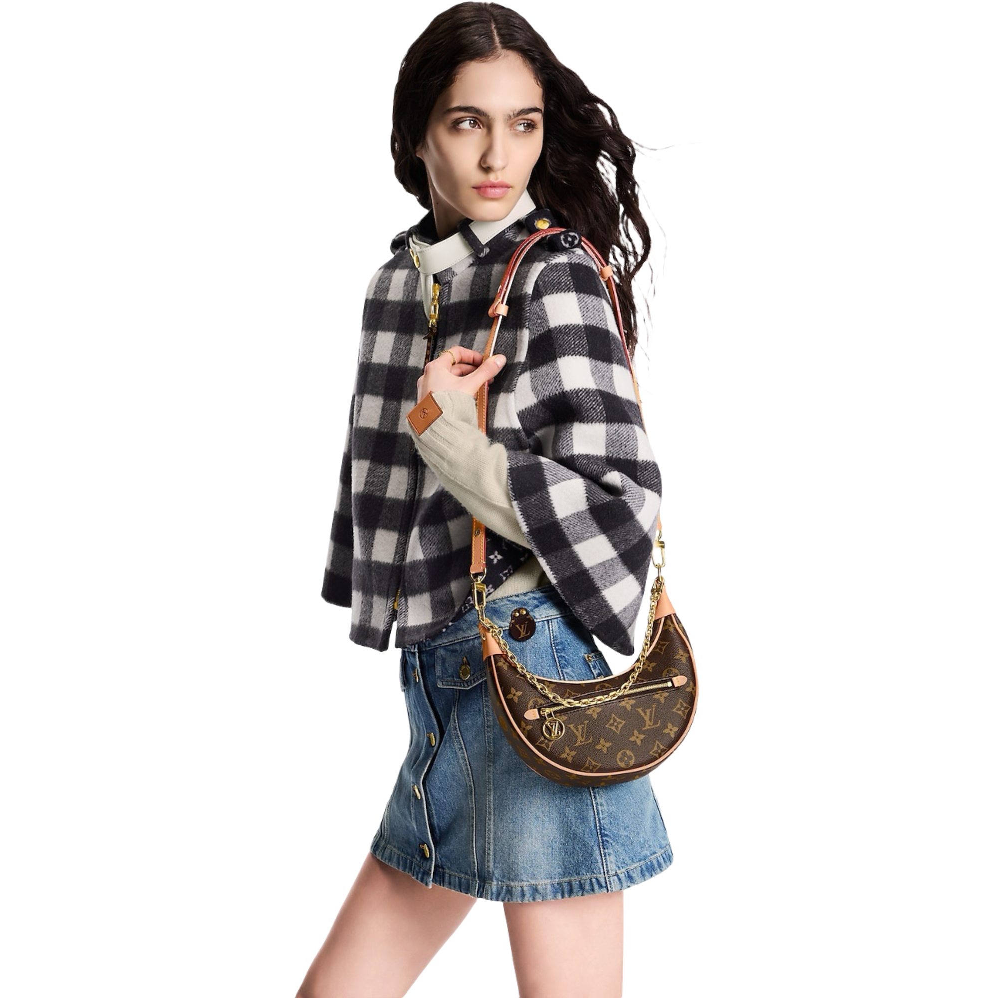 Louis Vuitton Loop çantë